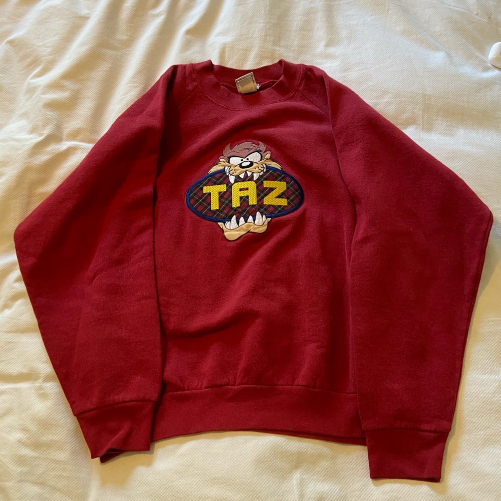 NEVER WORN Taz Sweatshirt
